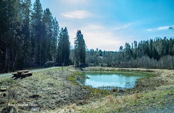 Nøstvedtmarka