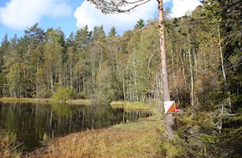 Skautraver