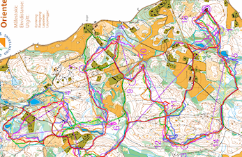 Ultra-sommer for 9 morgenfriske