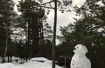 FINT FØRE PÅ GRØNLIÅSEN