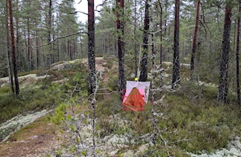 Ekstratrening - Stallerud