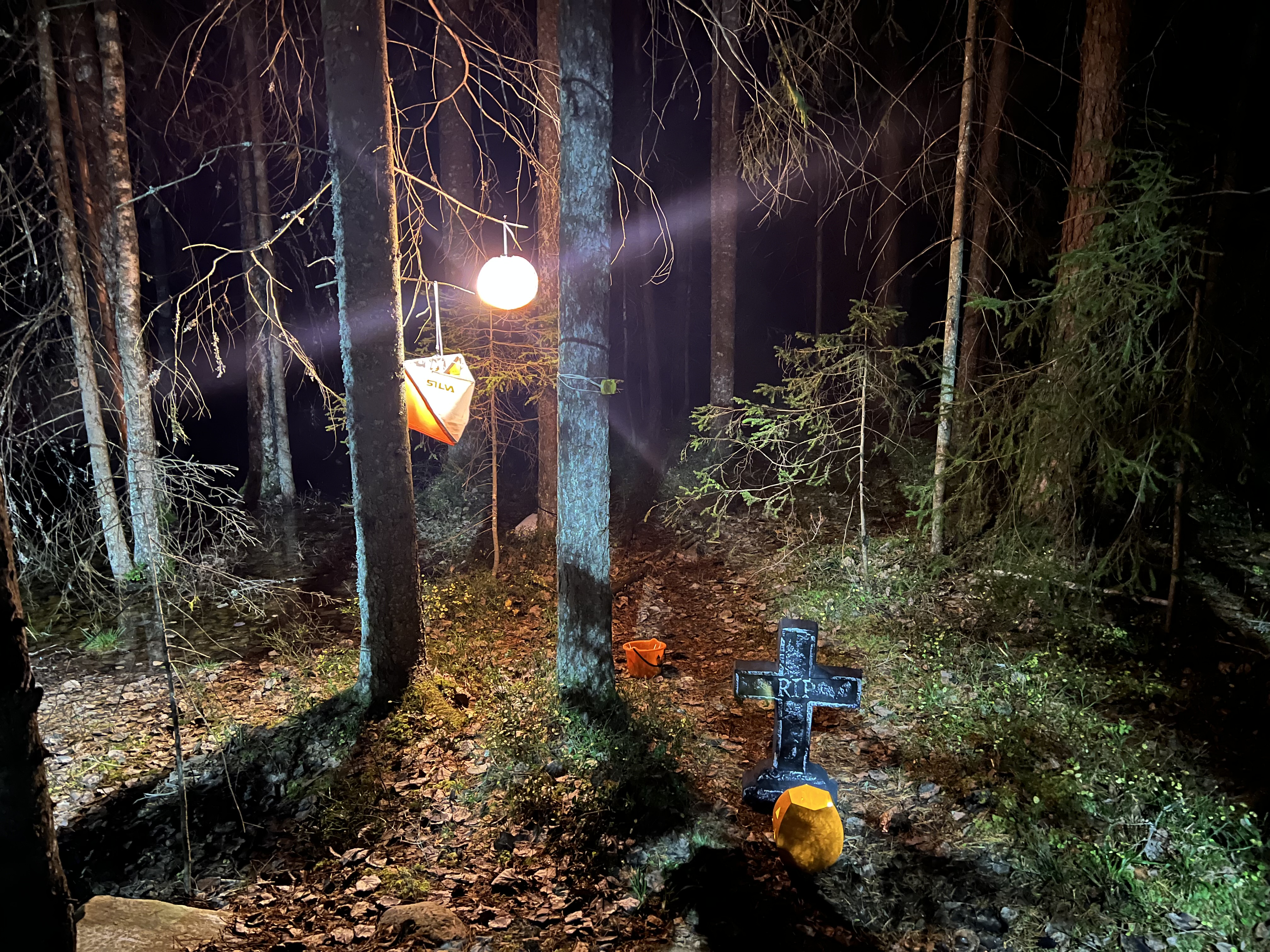 Treningsløp i Bøleråsen onsdag 29.10.2025