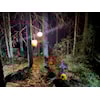 Treningsløp i Bøleråsen onsdag 29.10.2025