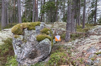 Årsmøte - saksdokumenter