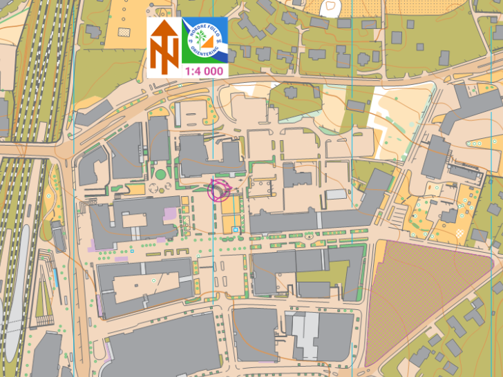 Trening 24.03.2025 - Sprinttrening Ski sentrum