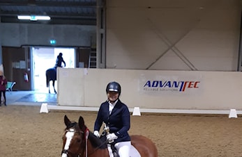 Dressurstemne 01/12 - oppdatering