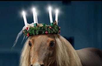 Romjulsleir 27-28. Desember