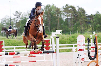 Landsstemne i sprang