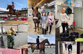 🦄Ledige plasser på ridekurs🦄