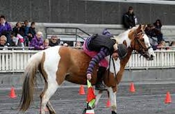 🦄Arrangement med barneridning søndag 01.10🦄