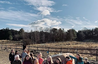 Haustleir veke 41 🐴