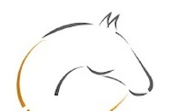 Sakliste til årsmøte (27.03.25)