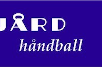 Njård Håndball ser etter en engasjert trener til vårt juniorlag J17-20 år for sesongen 20/21.