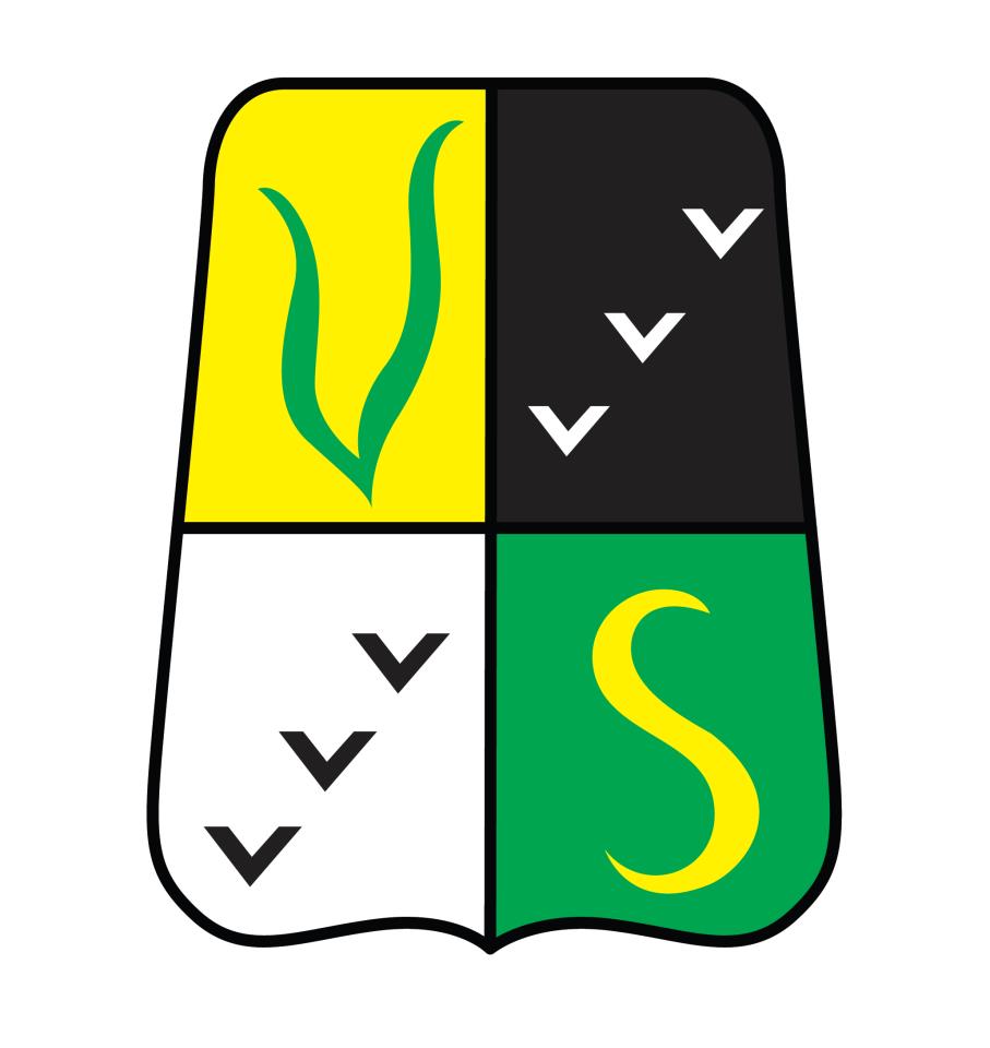 Klubbutvikling av Veitvet SK