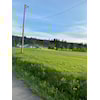 To hjemmetap for damelaget