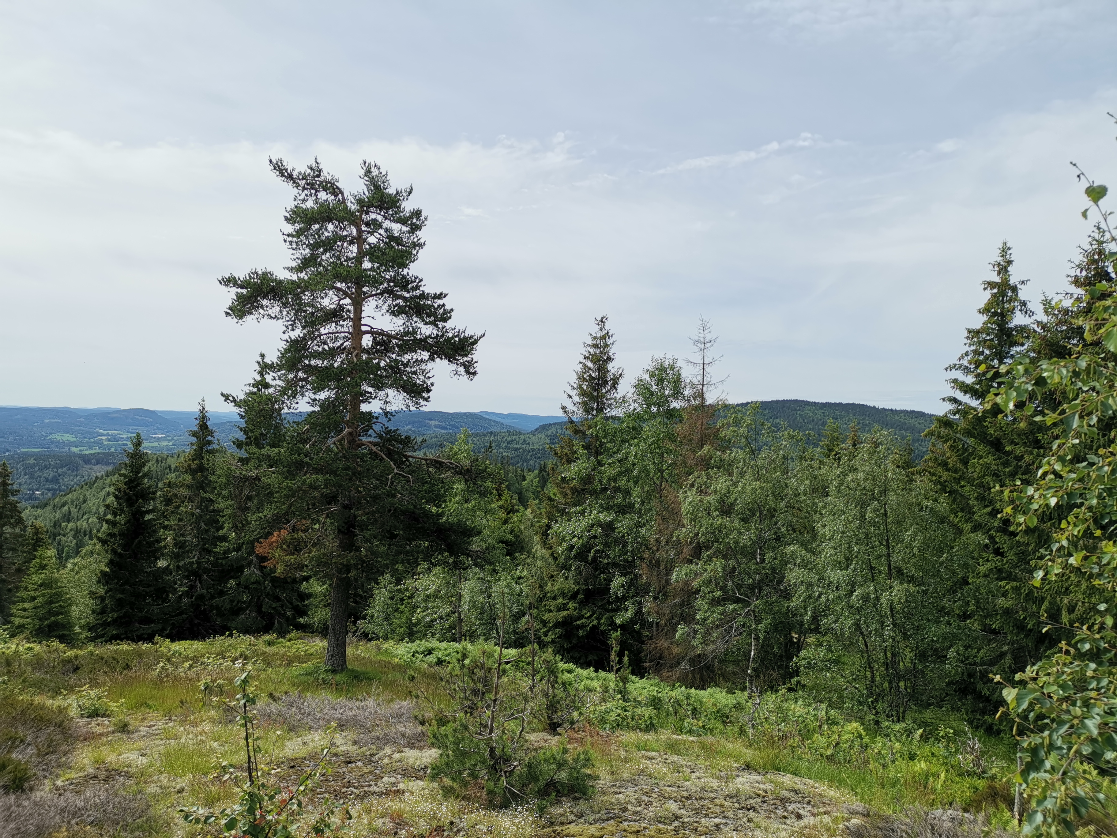 Løypejustering - 8-topper