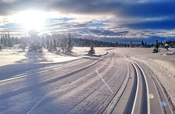 Løypeseminar - Norges Skiforbund