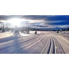 Løypeseminar - Norges Skiforbund