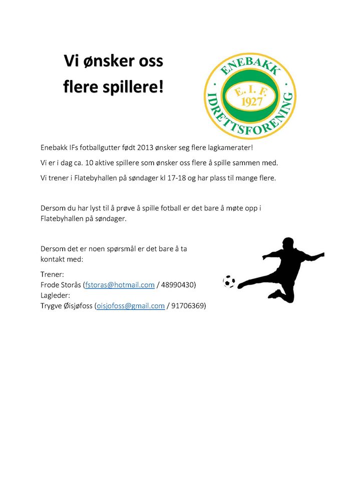 Flere spillere