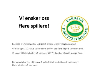 Flere spillere
