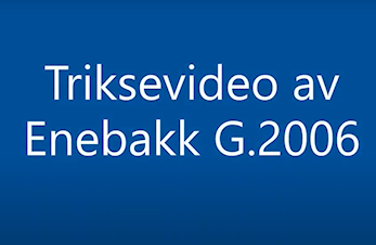Triksekonkurranse G2006