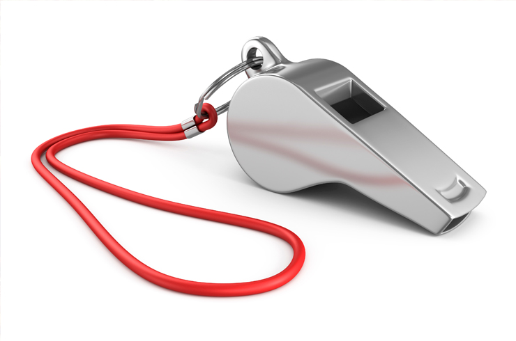 Vi søker ny dommerveileder