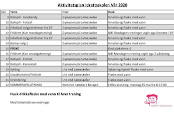 Aktivitetsplan vår 2020