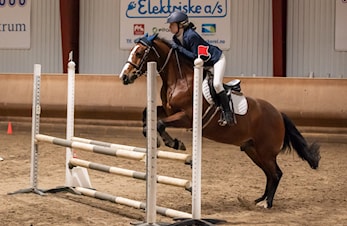 Stevneplan høsten 2019!