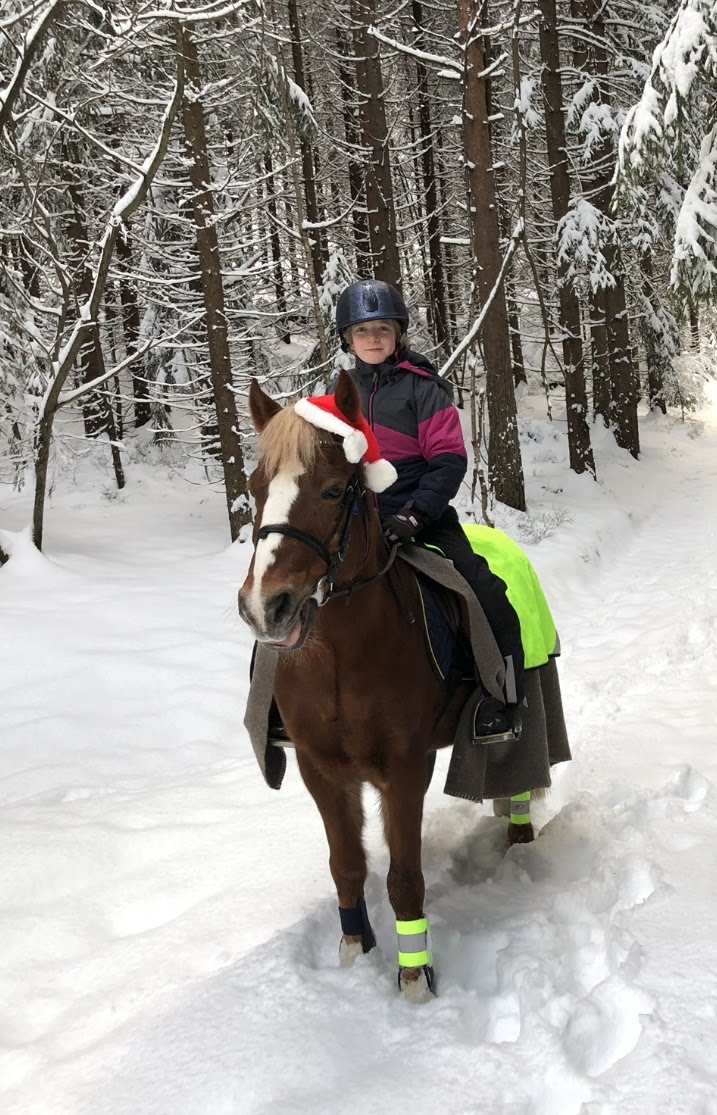 Velkommen til juleshow!