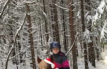 Velkommen til juleshow!