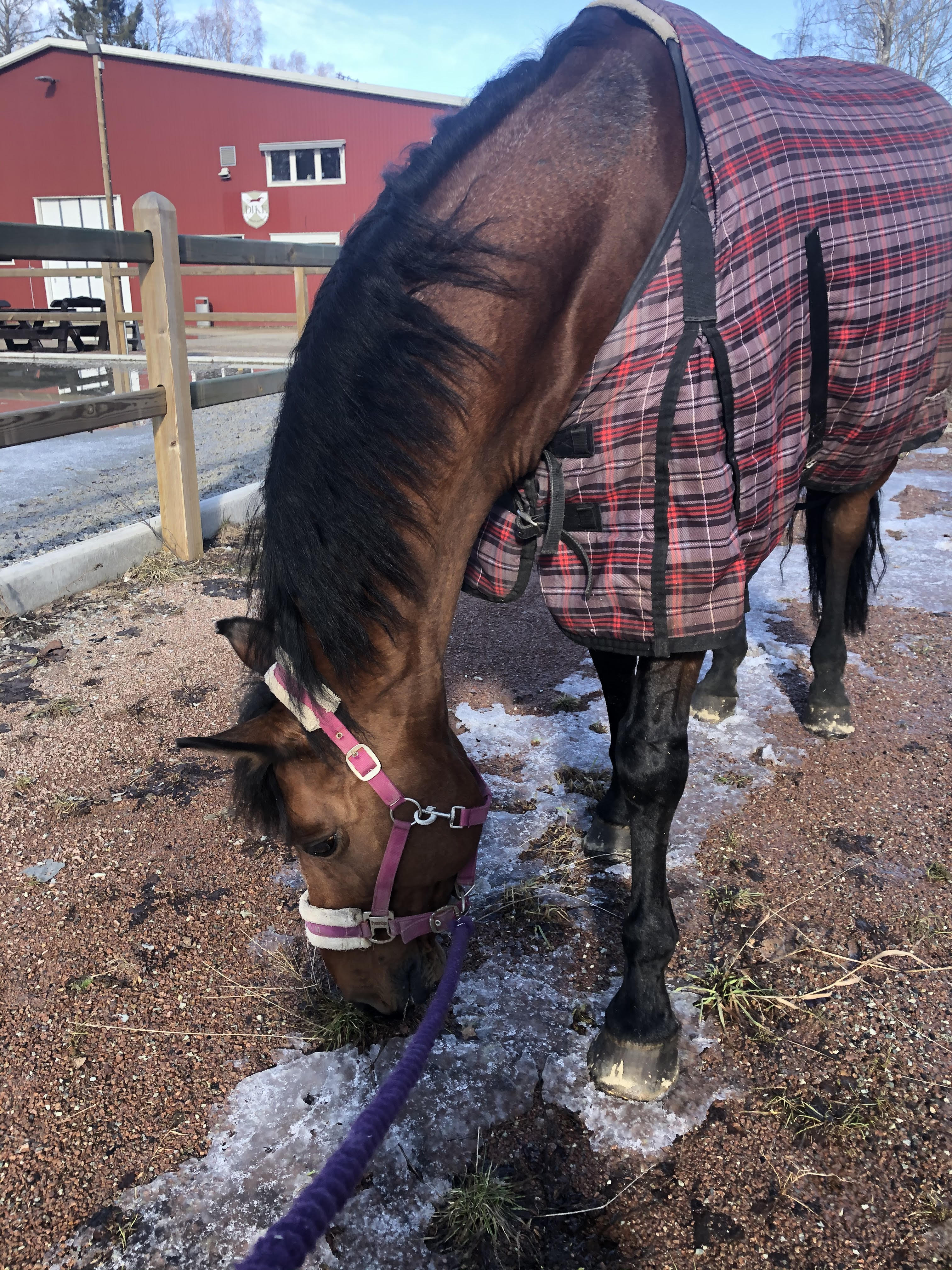 Justert frist for å ta igjen "Korona-timer"