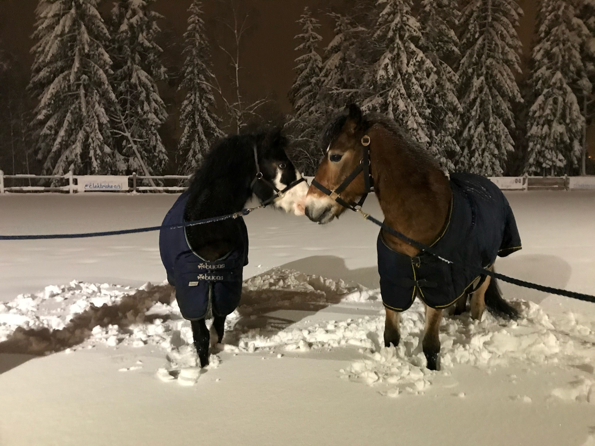 Innkalling til årsmøte 2022 i Dikemark Rideklubb