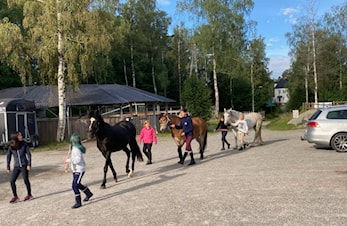 VI inviterer små og store hesteglade til rideuker på Dikemark Rideklubb i sommer