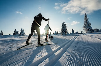 Skigruppa treningstider 2024/2025
