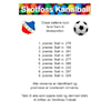 Kanalball vinnere...
