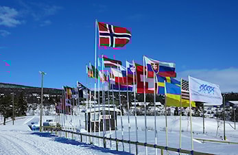 Årsmelding Masters Langrenn Norge