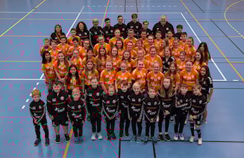 Regionsmesterskap i volleyball for ungdom under 17 år - Skjeberghallen 18. januar 2020.