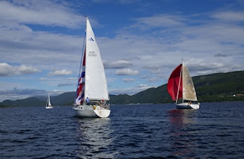 Avkortet seilas på Saltøya rundt 2019