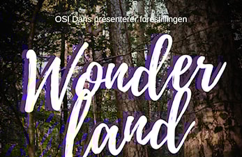 Danseshow Wonderland