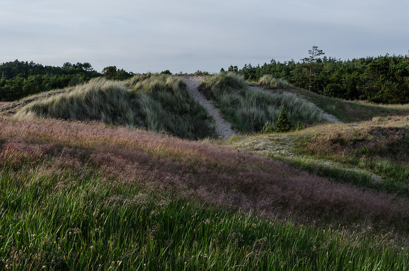 OSI Orientering drar til Nordjysk 2-Dagers 11-13. mars