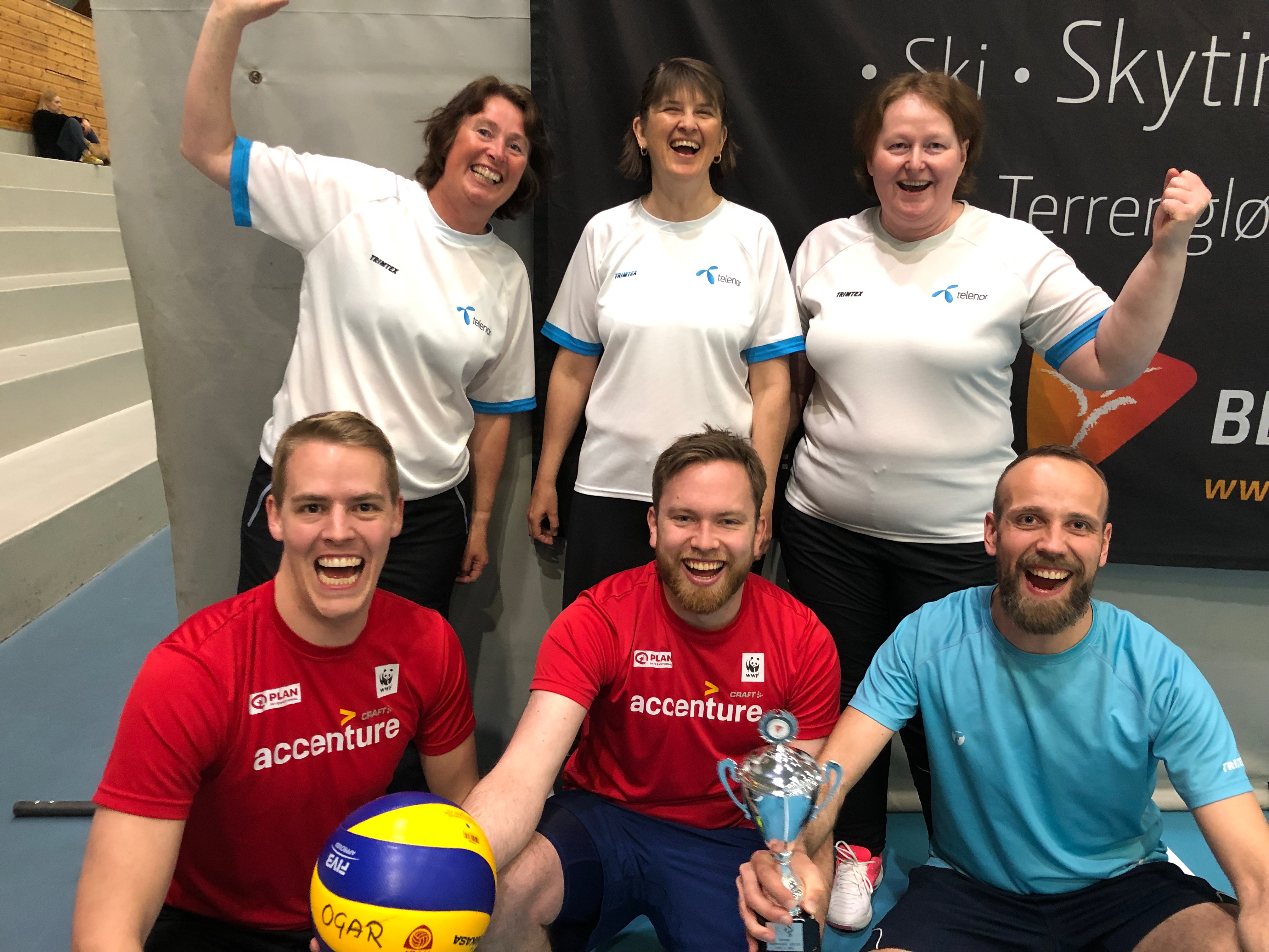 Seriemestre i OBIK Volleyball Mix. 2. div. 18/19