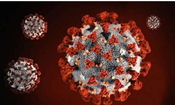 Covid-19 Oppdateringer!