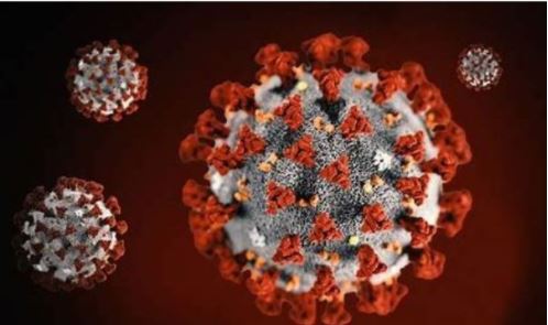 Covid-19 Oppdatering Erdal IL