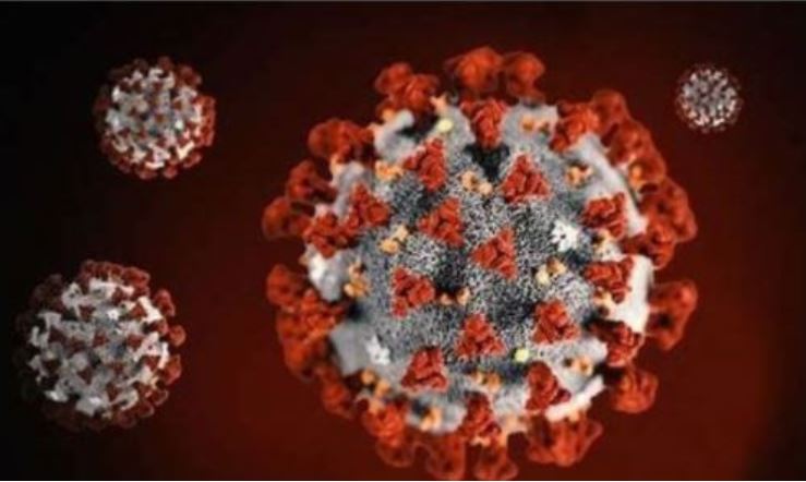 Covid-19 Oppdatering Erdal IL