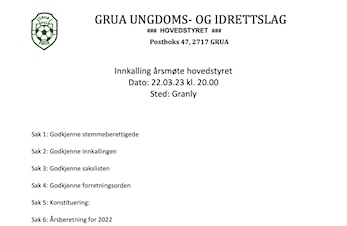 Årsmøte i hovedstyret