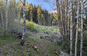 Diskgolfbanen er godkjent