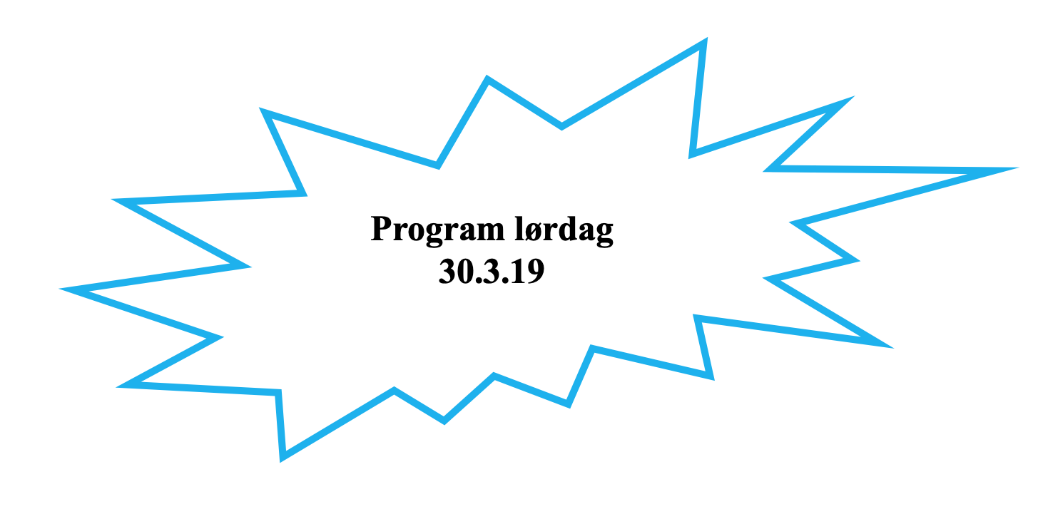 Program lørdag 30.3.19