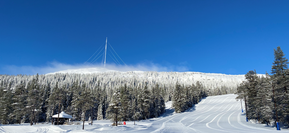 THL 2023 startlister SL