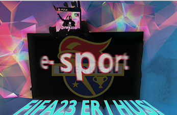 Vil DU spille FIFA- NM?