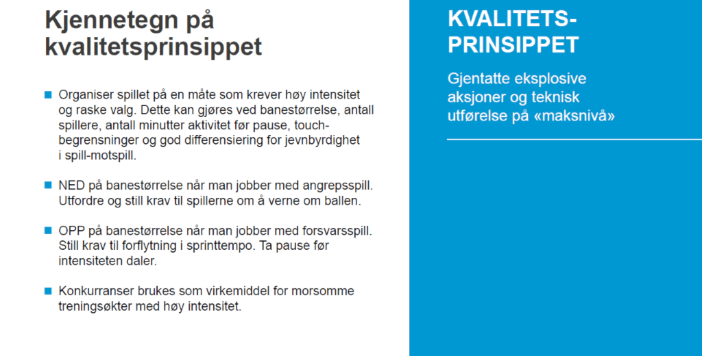 Kvalitetsprinsippet